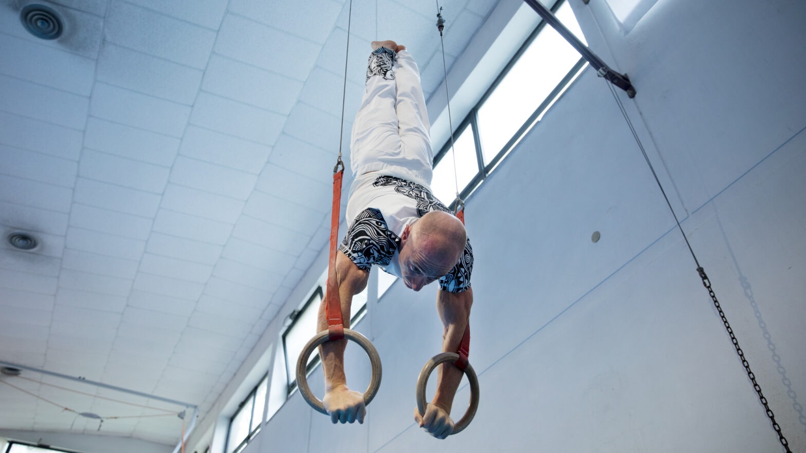 Freddy The Art Of Movement YOHOHO Studio